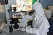 Un tipo de c&eacute;lulas del tumor puede ayudar a predecir qu&eacute; pacientes responden mejor a inmunoterapia, seg&uacute;n un estudio