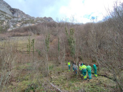 Una nueva cuadrilla de trabajo en Li&eacute;bana se suma al proyecto `Steps for LIFE`