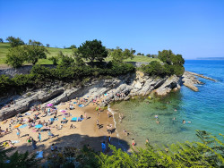 Una playa para el "solaceo" de los perritos, los Molinucos.    Carlos Magdalena