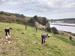Voluntarios plantan 180 &aacute;rboles en la r&iacute;a de San Mart&iacute;n, en Suances
