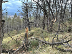 Vox alerta de la "peligrosidad" de la futura Ruta del Cuaternario en el Dobra y pide paralizar las obras