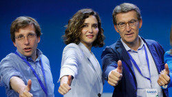 Vox apoya al PP ?....  Por Pedro Arce